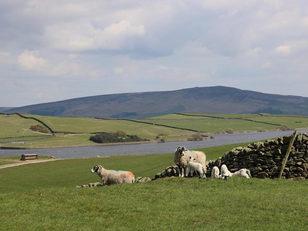Wren Lodge Skipton Kültér fotó
