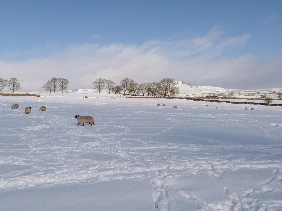 Wren Lodge Skipton Kültér fotó